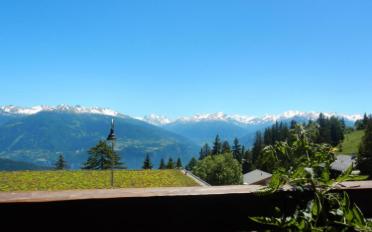 Wohnung 4 Zimmer - image - 8