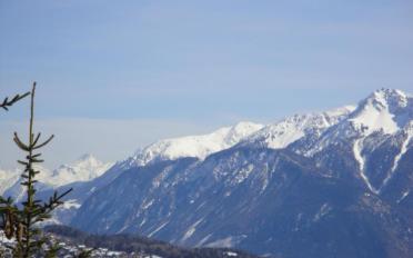 Wohnung 3 Zimmer - image - 10