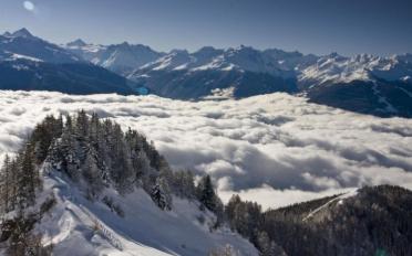 Wohnung 3 Zimmer - image - 13