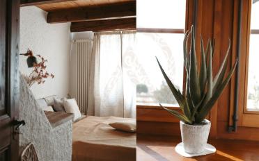 Maison contiguë 5.5 pièces - image - 8