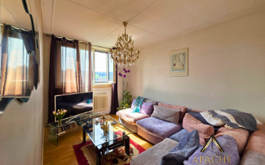 Single house 10 rooms - image - 14