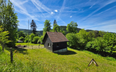 Chalet 2.5 Zimmer - image - 1