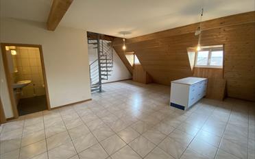 Duplex 3.5 rooms - image - 3