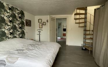 Einfamilienhaus - image - 8