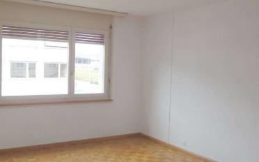 Appartement 3.5 pièces - image - 3