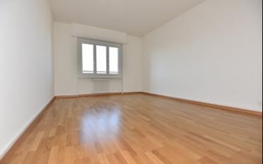 Wohnung 3 Zimmer - image - 5