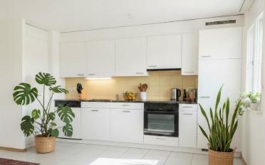 Wohnung 3.5 Zimmer - image - 4
