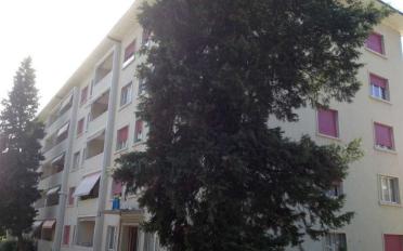 Appartement 1 pièce - image - 2
