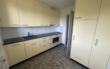 Wohnung 1.5 Zimmer - image - 1
