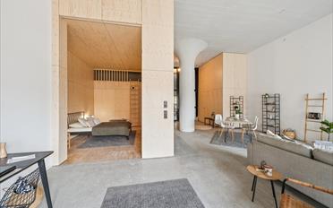 Loft 1 room - image - 8
