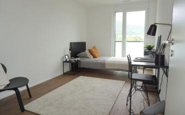 Appartement 3 pièces - image - 6