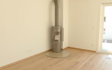 Terrace flat 4.5 rooms - image - 7