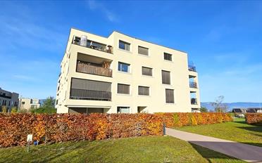 Wohnung 3.5 Zimmer - image - 1