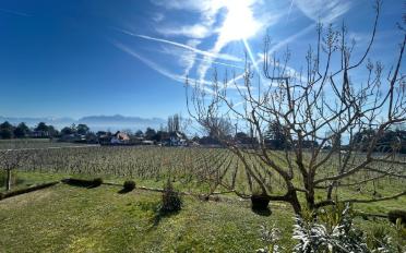 Duplex 5 Zimmer - image - 1