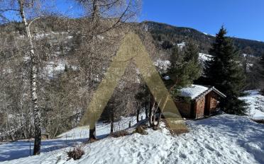 Chalet 2 rooms - image - 11
