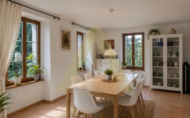 Wohnung ein Zimmer - image - 4