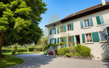 Wohnung ein Zimmer - image - 2