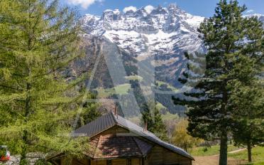 Chalet 6.5 rooms - image - 3