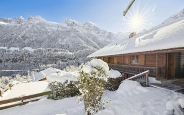 Chalet 16 rooms - image - 1