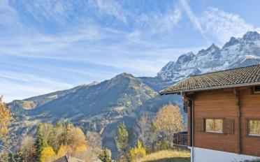 Chalet 6.5 Zimmer - image - 6