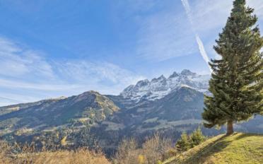 Chalet 6.5 Zimmer - image - 7