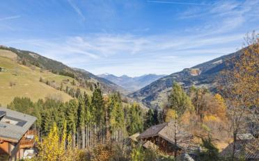 Chalet 6.5 Zimmer - image - 10
