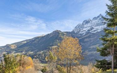 Chalet 6.5 Zimmer - image - 11