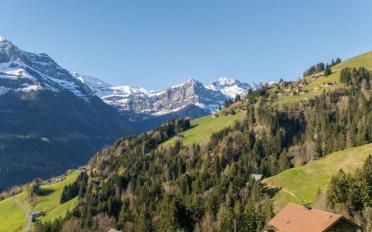 Chalet 6.5 Zimmer - image - 2