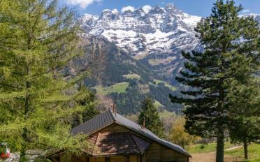 Chalet 6.5 Zimmer - image - 5