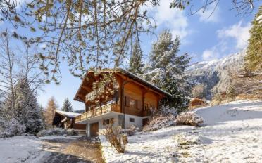 Chalet 5.5 Zimmer - image - 8