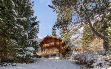 Chalet 5.5 Zimmer - image - 12