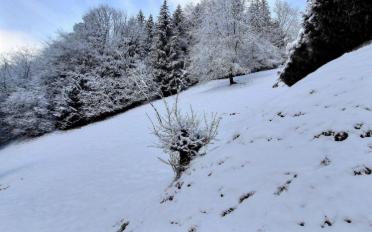 Building land - image - 5