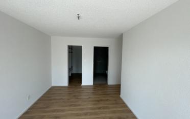 Apartment 4.5 rooms - image - 13