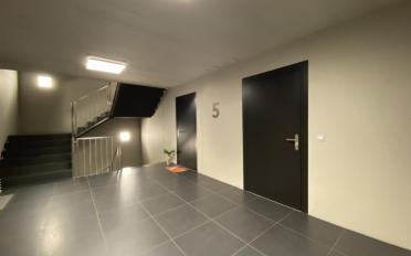 Appartement 5.5 pièces - image - 7