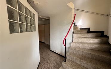 Einfamilienhaus 5.5 Zimmer - image - 3