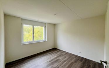 Wohnung 4.5 Zimmer - image - 9
