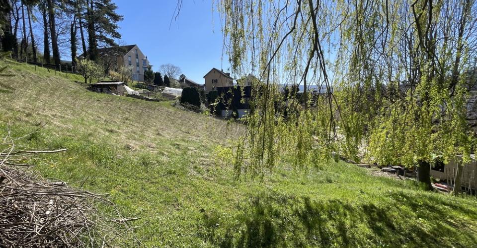 Terrain, Porrentruy - 455000
