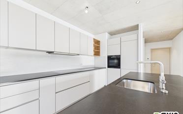 Appartement 3.5 pièces - image - 3