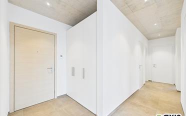 Appartement 4.5 pièces - image - 7