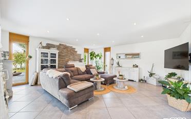 Villa 6.5 pièces - image - 5