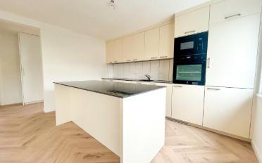 Einfamilienhaus 7.5 Zimmer - image - 5