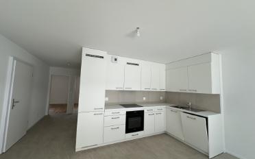 Wohnung 3.5 Zimmer - image - 3