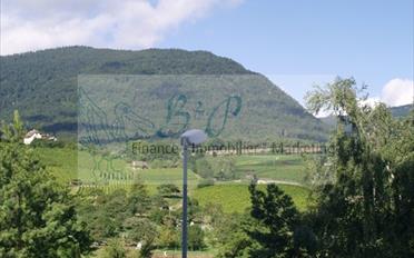 Apartment 4.5 rooms - image - 1