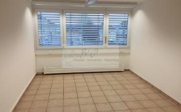 Wohnung 1.5 Zimmer - image - 1