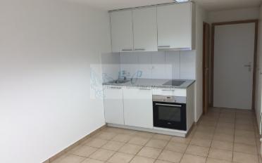 Wohnung 1.5 Zimmer - image - 3