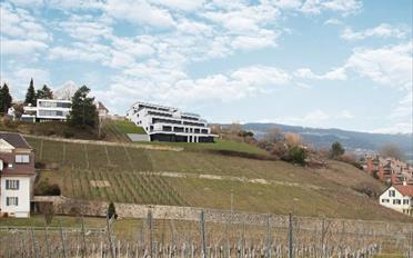 Villa 5.5 Zimmer - image - 4