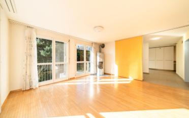 Single house 6 rooms - image - 2