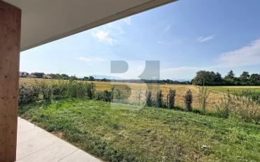 Single house 6 rooms - image - 1