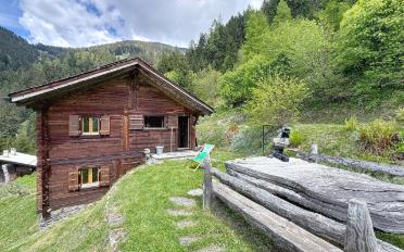 Chalet 3 rooms - image - 1