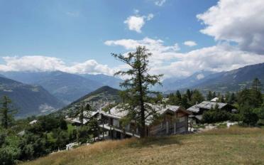 Building land - image - 7